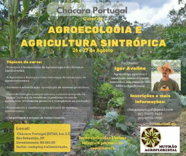 Curso de Agroecologia e Agricultura Sintrópica